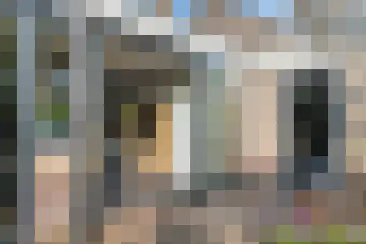 Harrelaers 19 Heiloo thumbnail 24