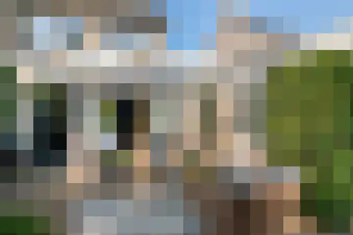 Harrelaers 19 Heiloo thumbnail 25