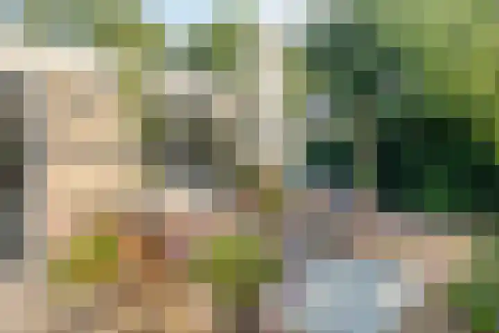 Harrelaers 19 Heiloo thumbnail 26