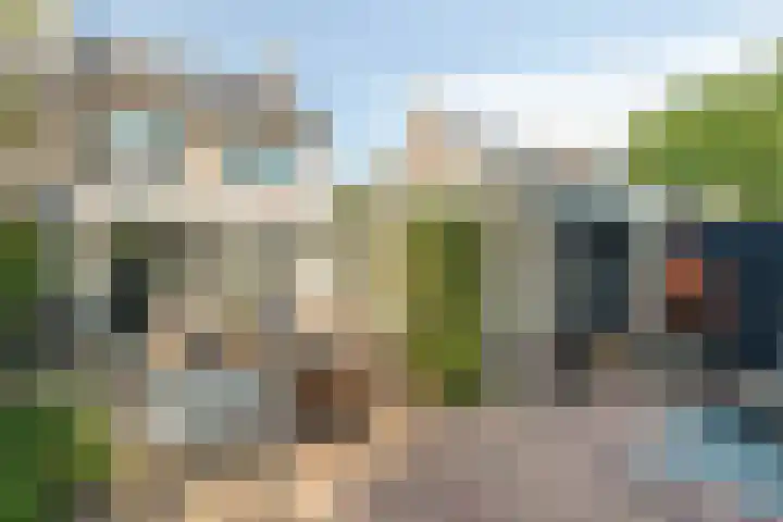 Harrelaers 19 Heiloo thumbnail 28