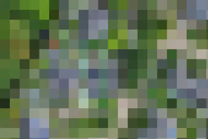 Harrelaers 19 Heiloo thumbnail 29