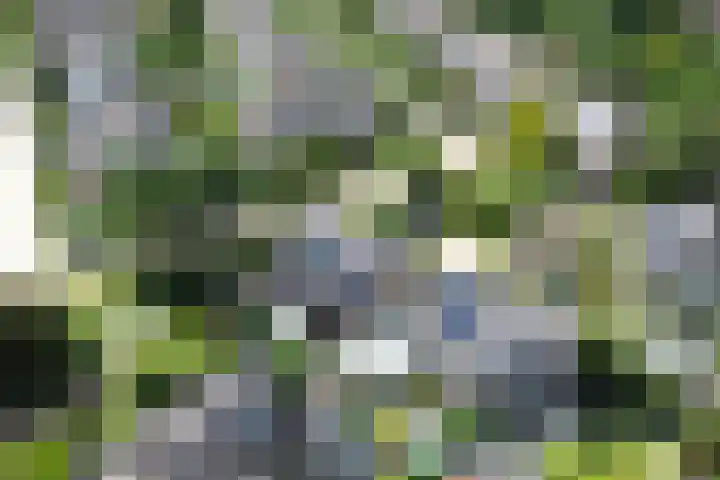 Harrelaers 19 Heiloo thumbnail 30