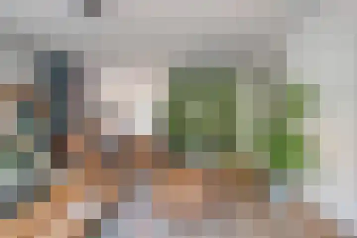 Harrelaers 19 Heiloo thumbnail 4