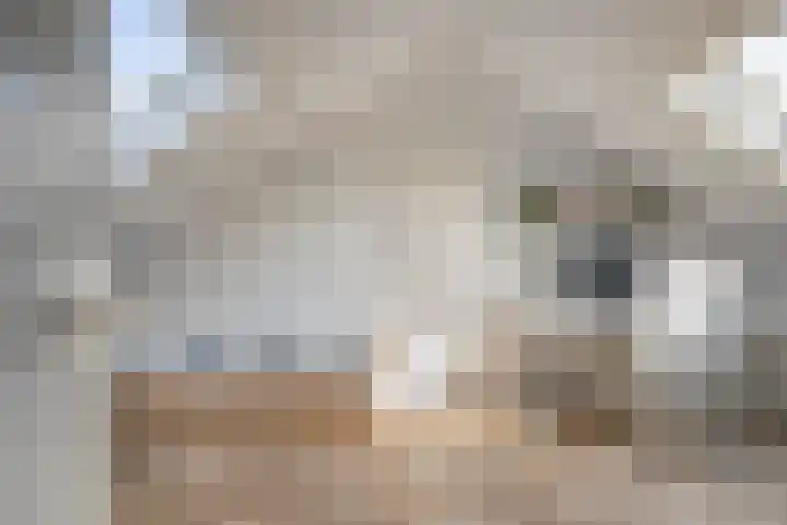 Harrelaers 19 Heiloo thumbnail 42