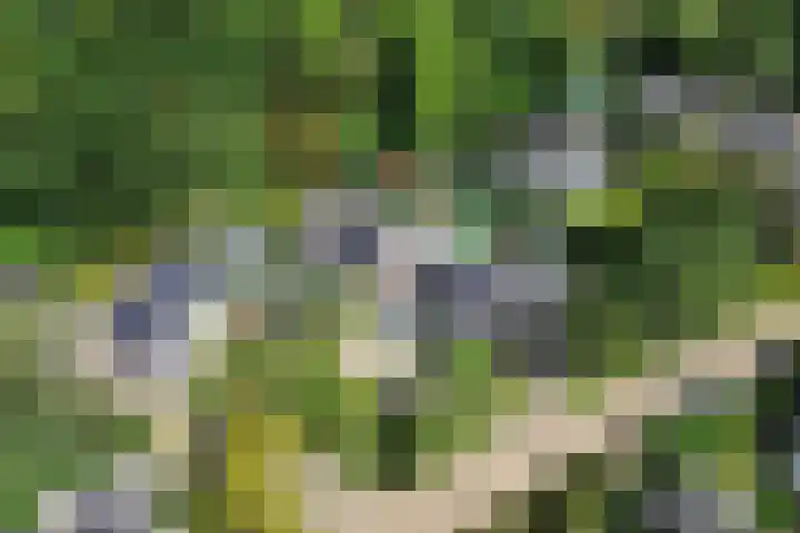 Harrelaers 19 Heiloo thumbnail 45