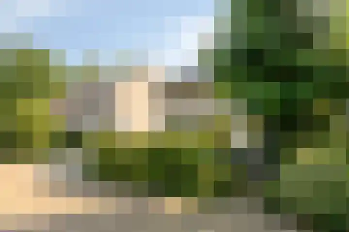Harrelaers 19 Heiloo thumbnail 48