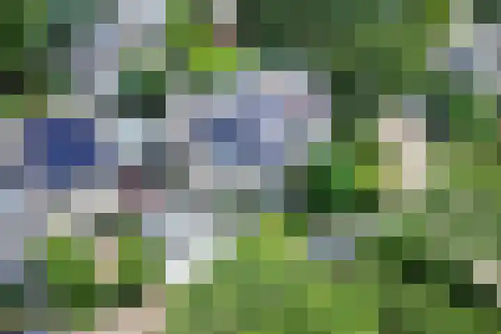 Harrelaers 19 Heiloo thumbnail 5