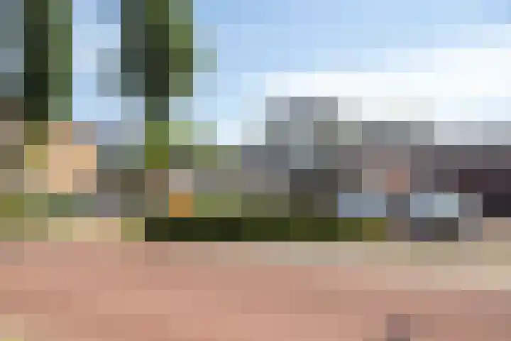 Harrelaers 19 Heiloo thumbnail 50