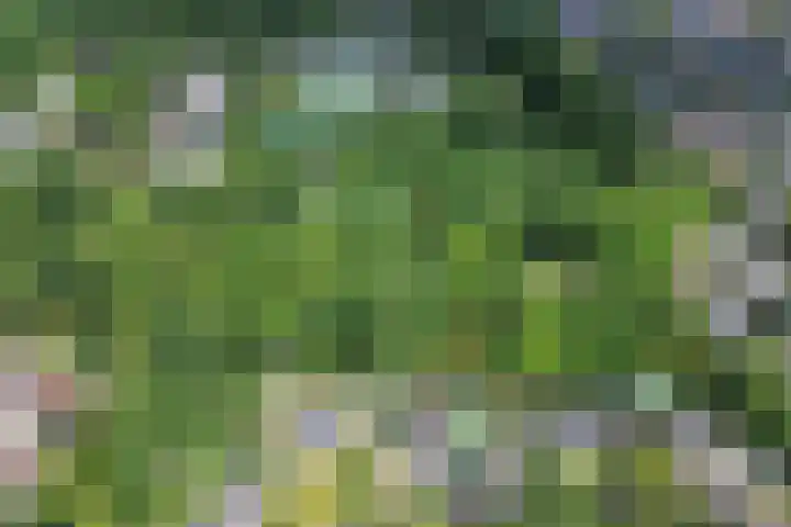 Harrelaers 19 Heiloo thumbnail 51