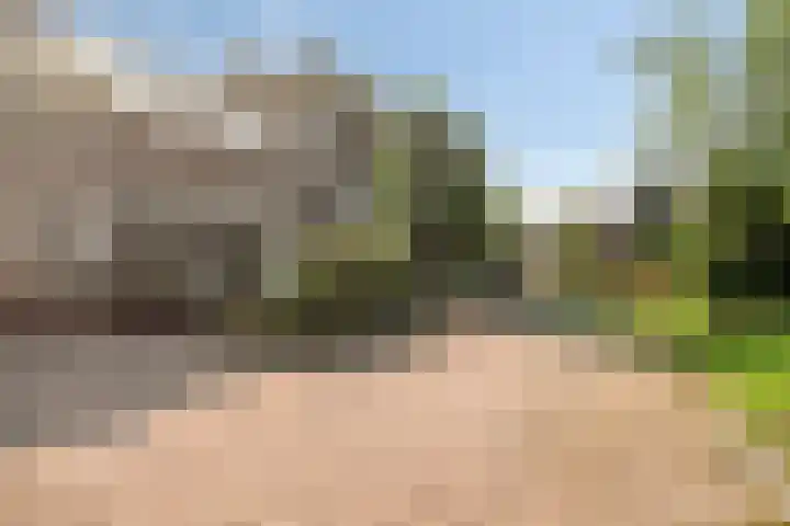 Harrelaers 19 Heiloo thumbnail 6