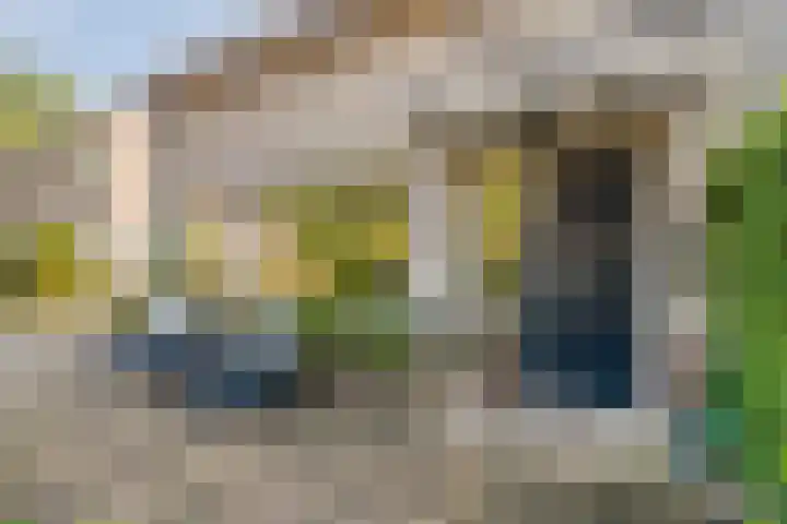 Harrelaers 19 Heiloo thumbnail 7