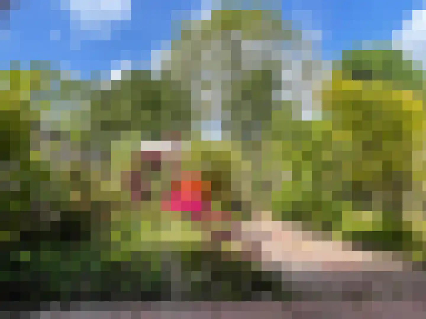 Harrelaers 35 Heiloo thumbnail 29