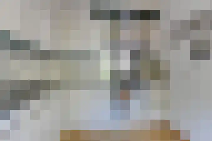 Harrelaers 51 Heiloo thumbnail 4