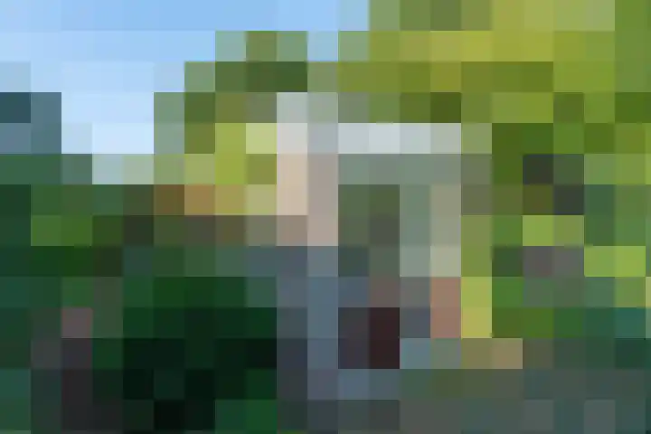 Harrelaers 51 Heiloo thumbnail 41