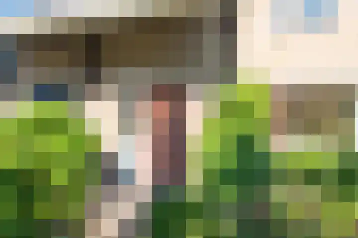 Harrelaers 51 Heiloo thumbnail 43
