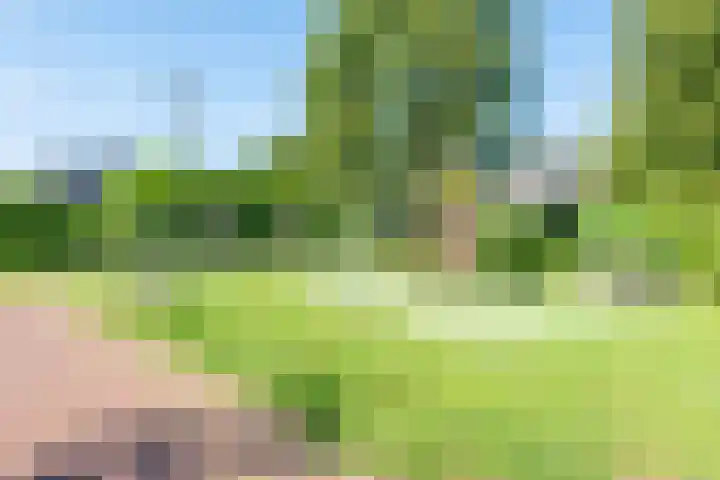 Harrelaers 51 Heiloo thumbnail 45