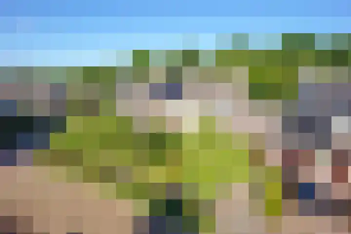 Harrelaers 51 Heiloo thumbnail 5