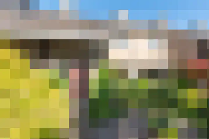 Harrelaers 51 Heiloo thumbnail 6