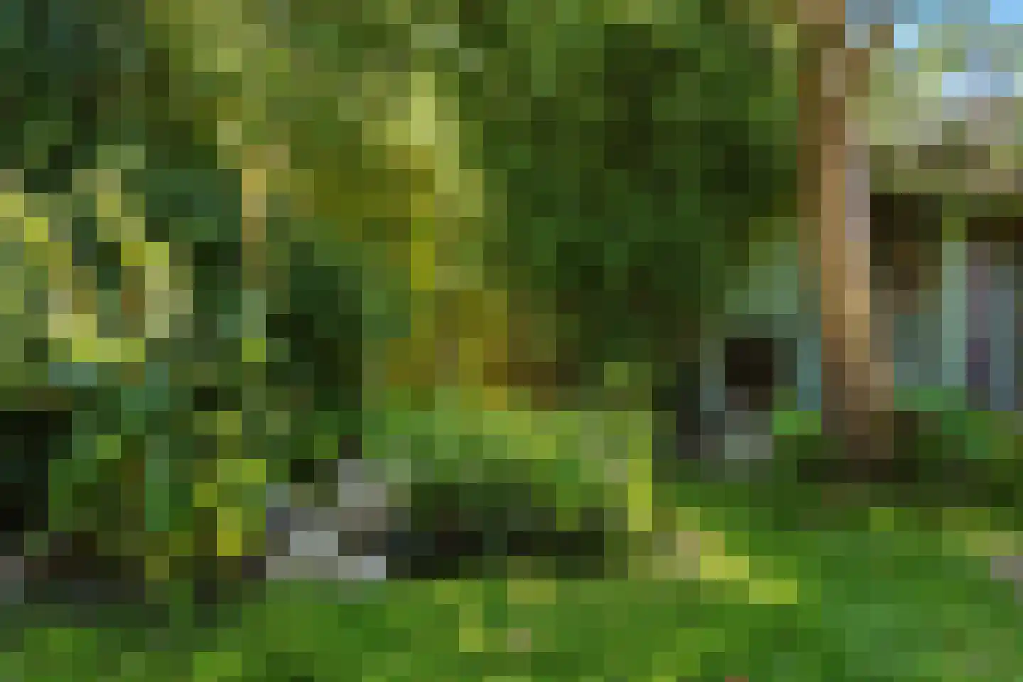Harrelaers 71 Heiloo thumbnail 31