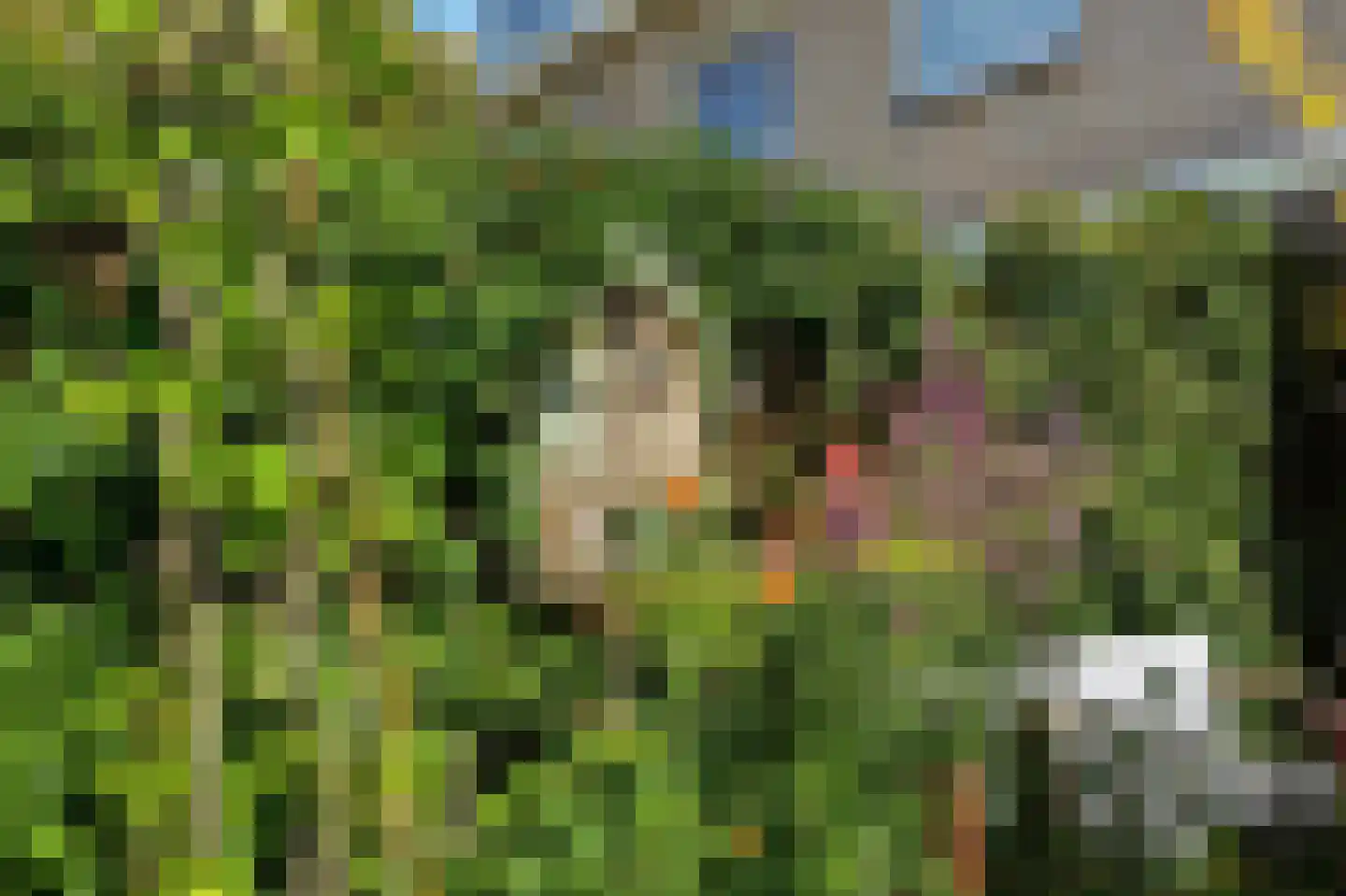 Harrelaers 71 Heiloo thumbnail 32