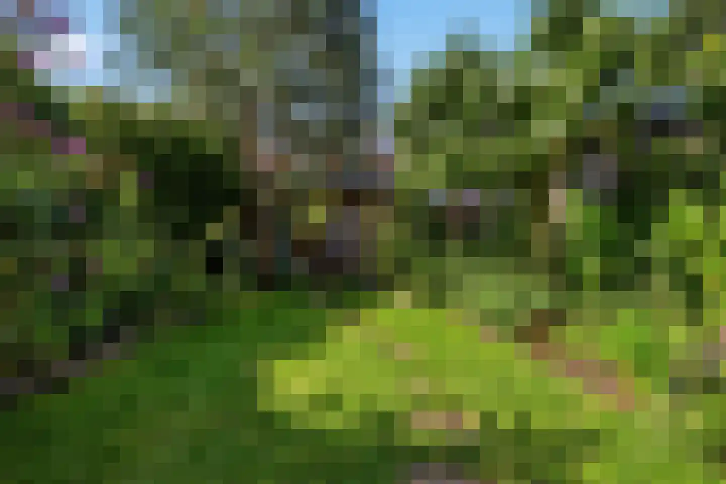 Harrelaers 71 Heiloo thumbnail 9