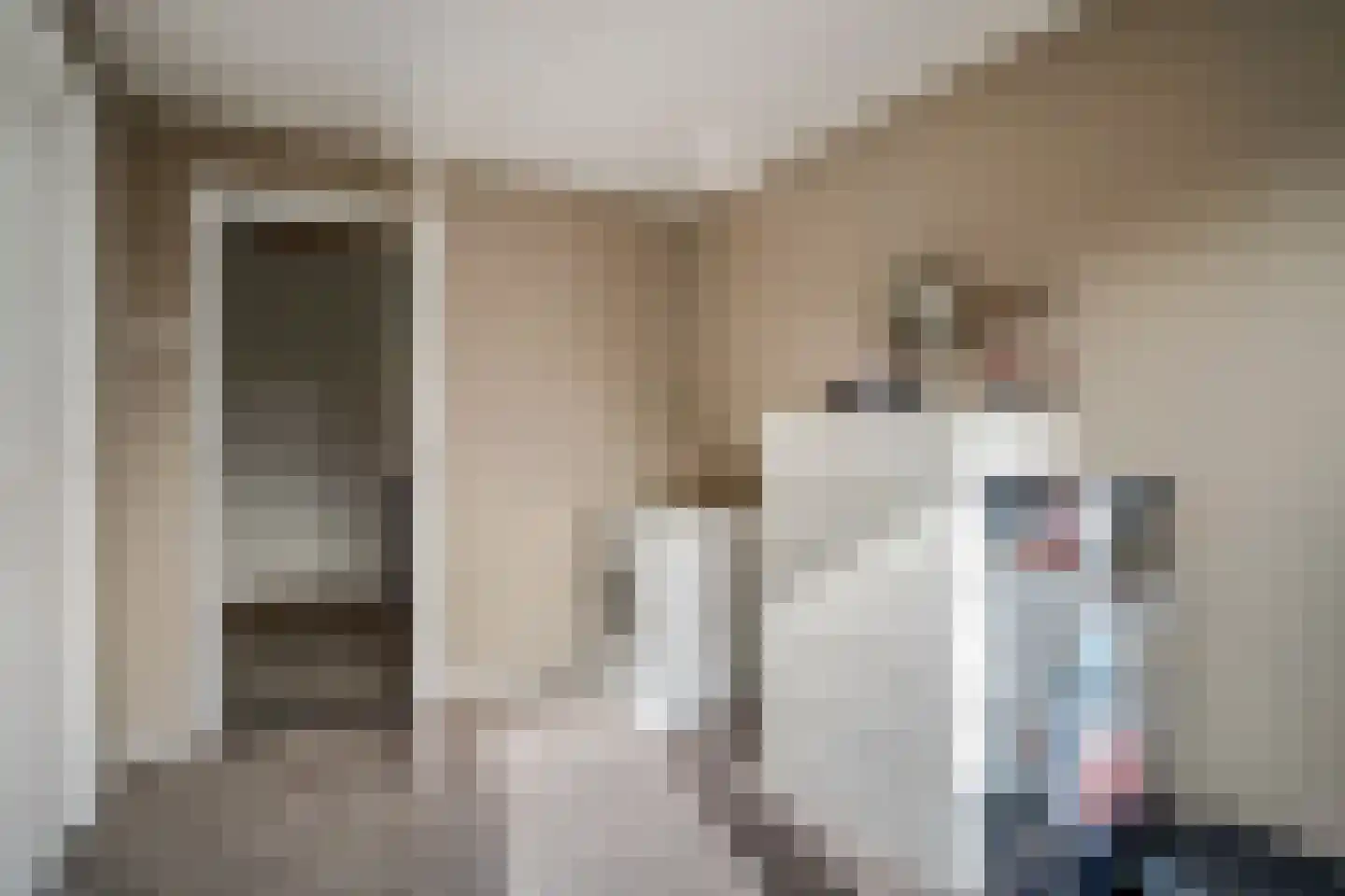 Harremaatweg 14 Voorthuizen thumbnail 25