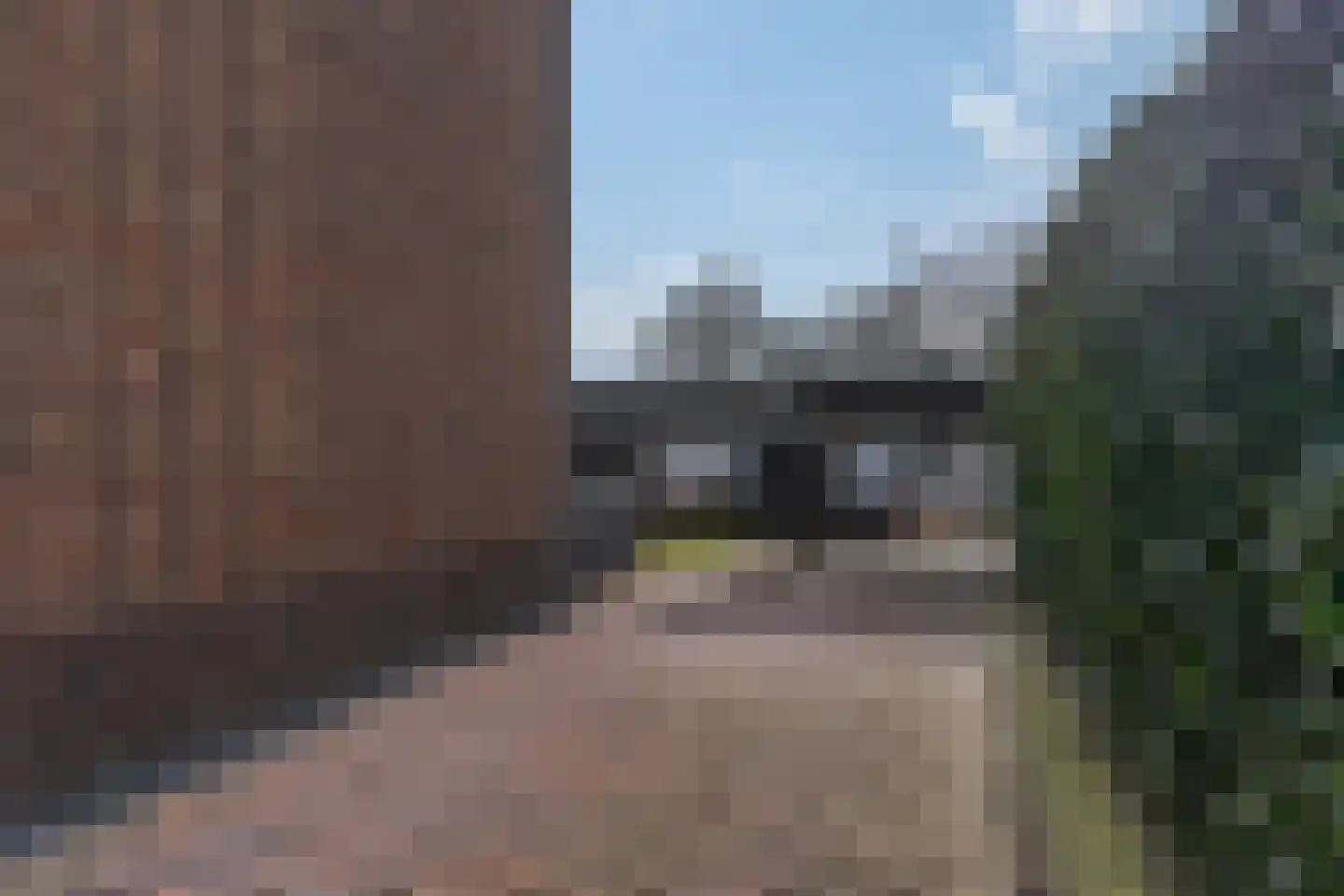 Harremaatweg 14 Voorthuizen thumbnail 39