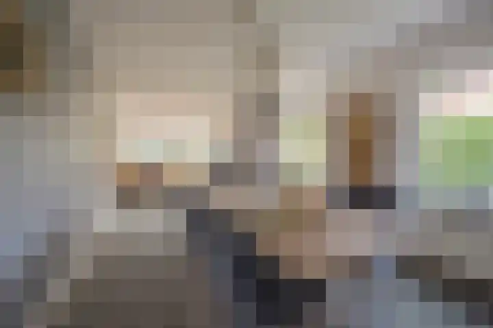 Harremaatweg 3 Voorthuizen thumbnail 10