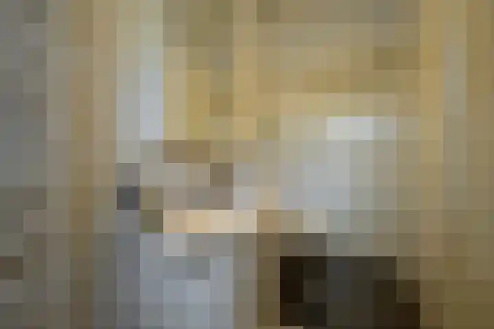 Harremaatweg 3 Voorthuizen thumbnail 17
