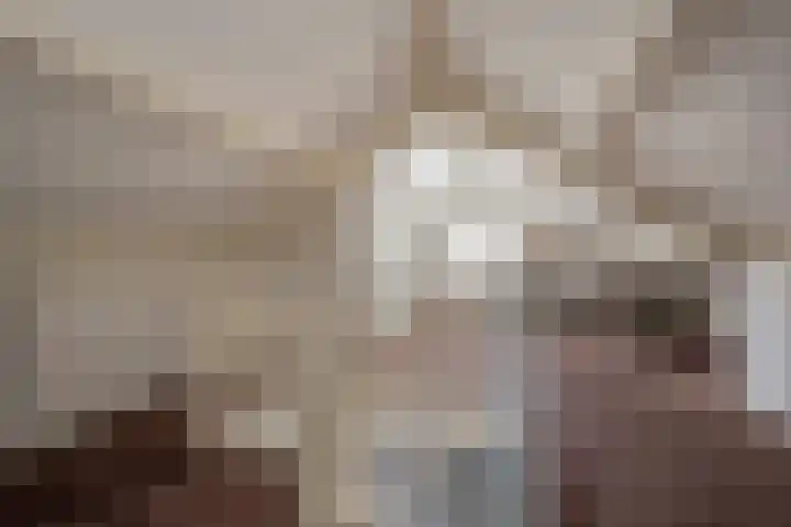 Harremaatweg 3 Voorthuizen thumbnail 18