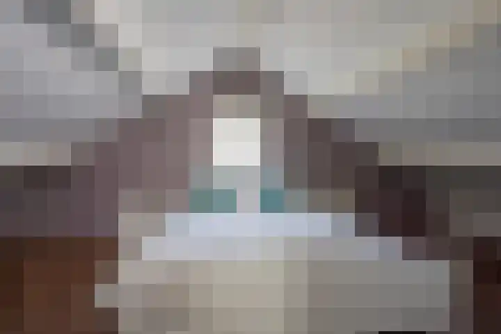 Harremaatweg 3 Voorthuizen thumbnail 22