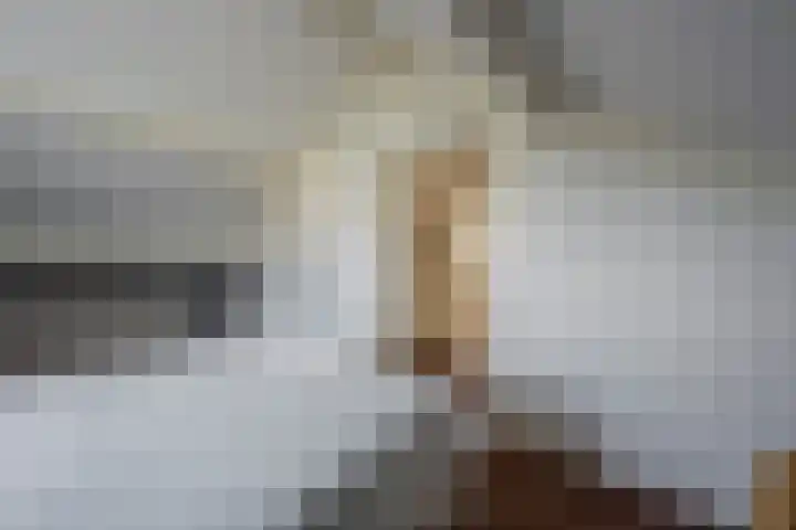 Harremaatweg 3 Voorthuizen thumbnail 23