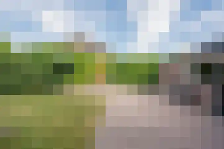 Harremaatweg 3 Voorthuizen thumbnail 26