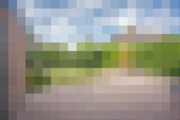 Harremaatweg 3 Voorthuizen thumbnail 27
