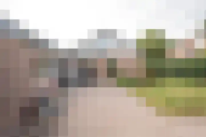 Harremaatweg 3 Voorthuizen thumbnail 29