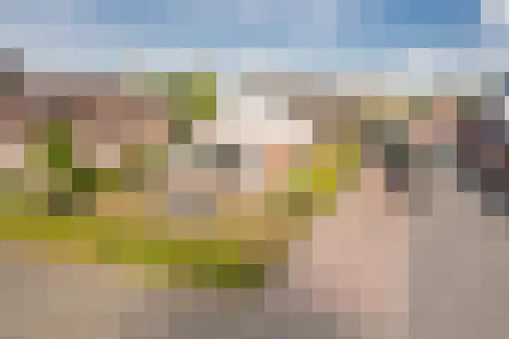 Harremaatweg 3 Voorthuizen thumbnail 33