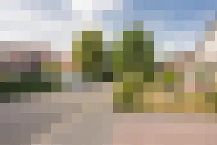 Harremaatweg 3 Voorthuizen thumbnail 34