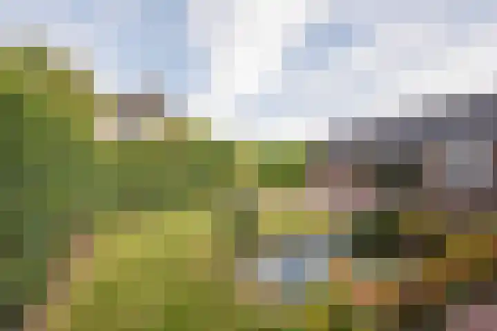 Harremaatweg 3 Voorthuizen thumbnail 4