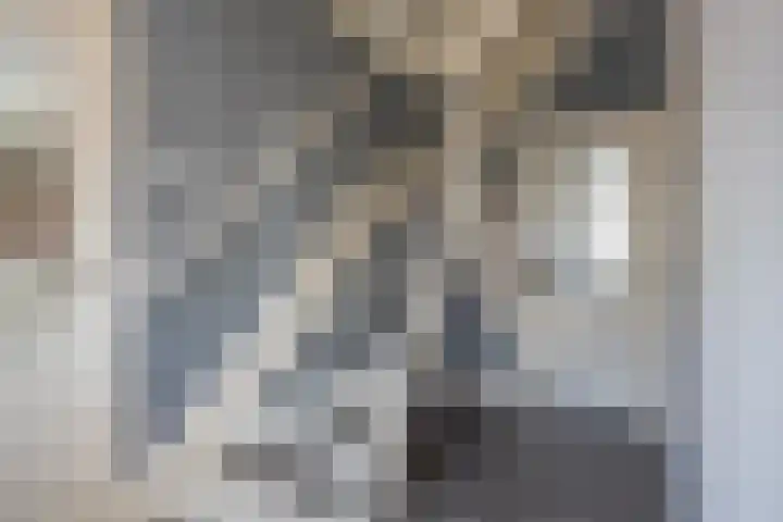 Harremaatweg 3 Voorthuizen thumbnail 6