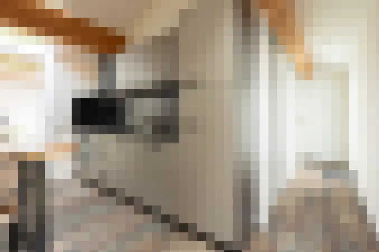 Harremaatweg 30 109 Voorthuizen thumbnail 13