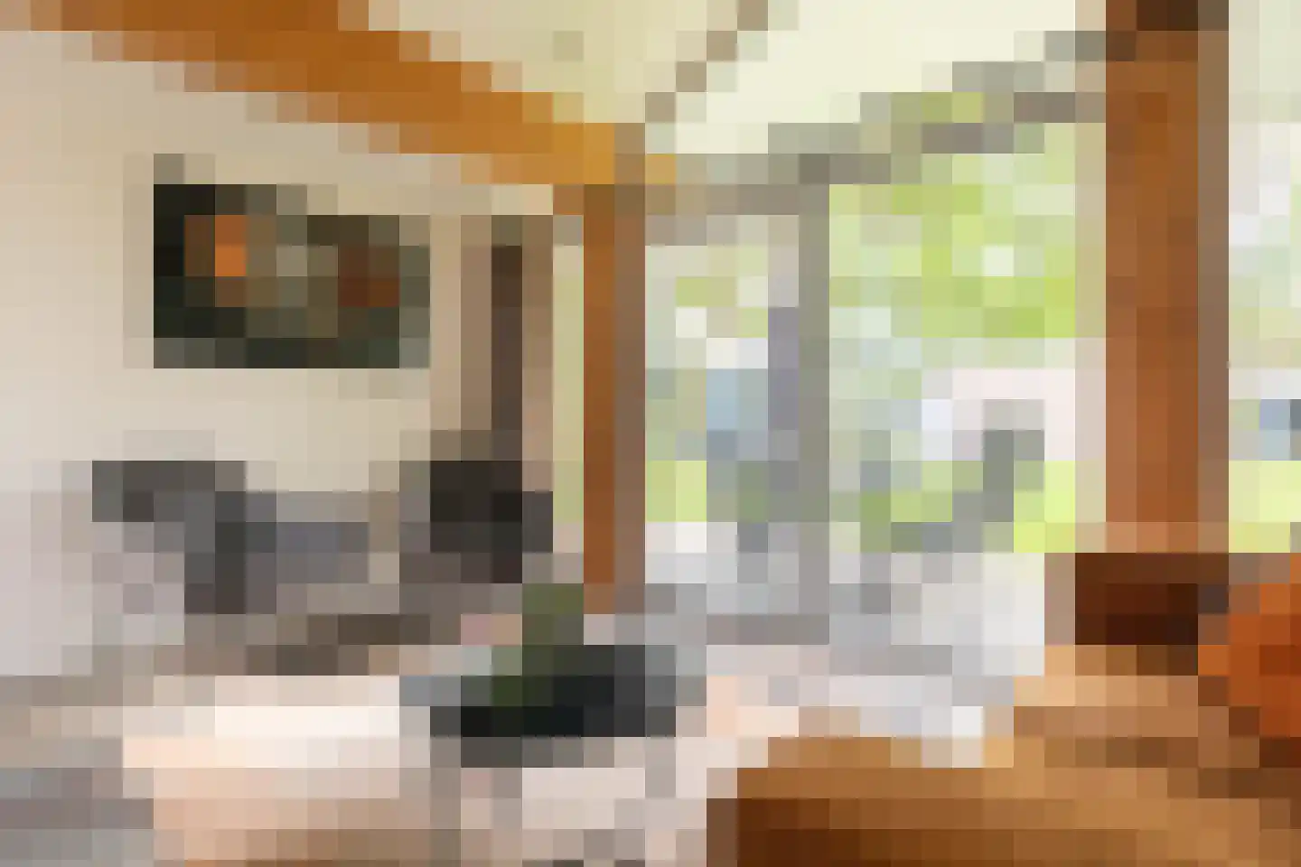 Harremaatweg 30 109 Voorthuizen thumbnail 15