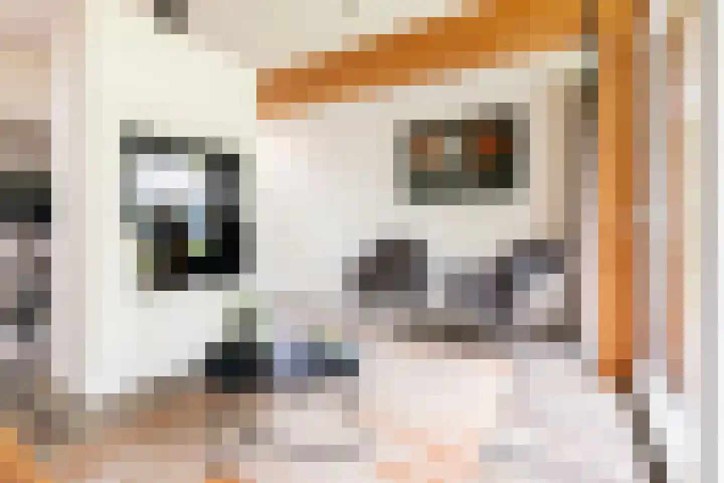 Harremaatweg 30 109 Voorthuizen thumbnail 17