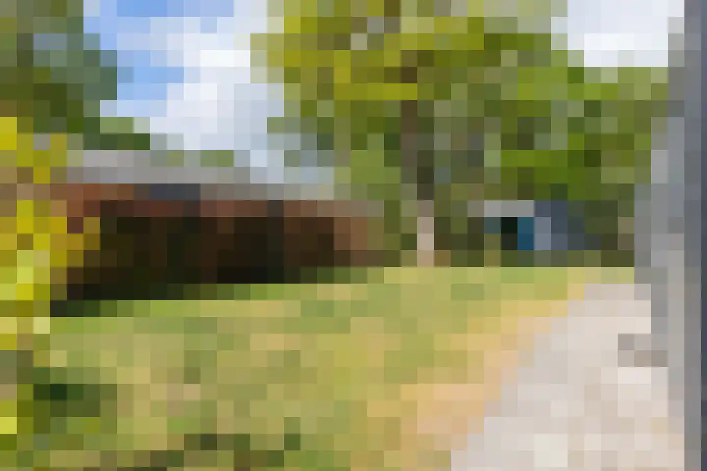 Harremaatweg 30 109 Voorthuizen thumbnail 5