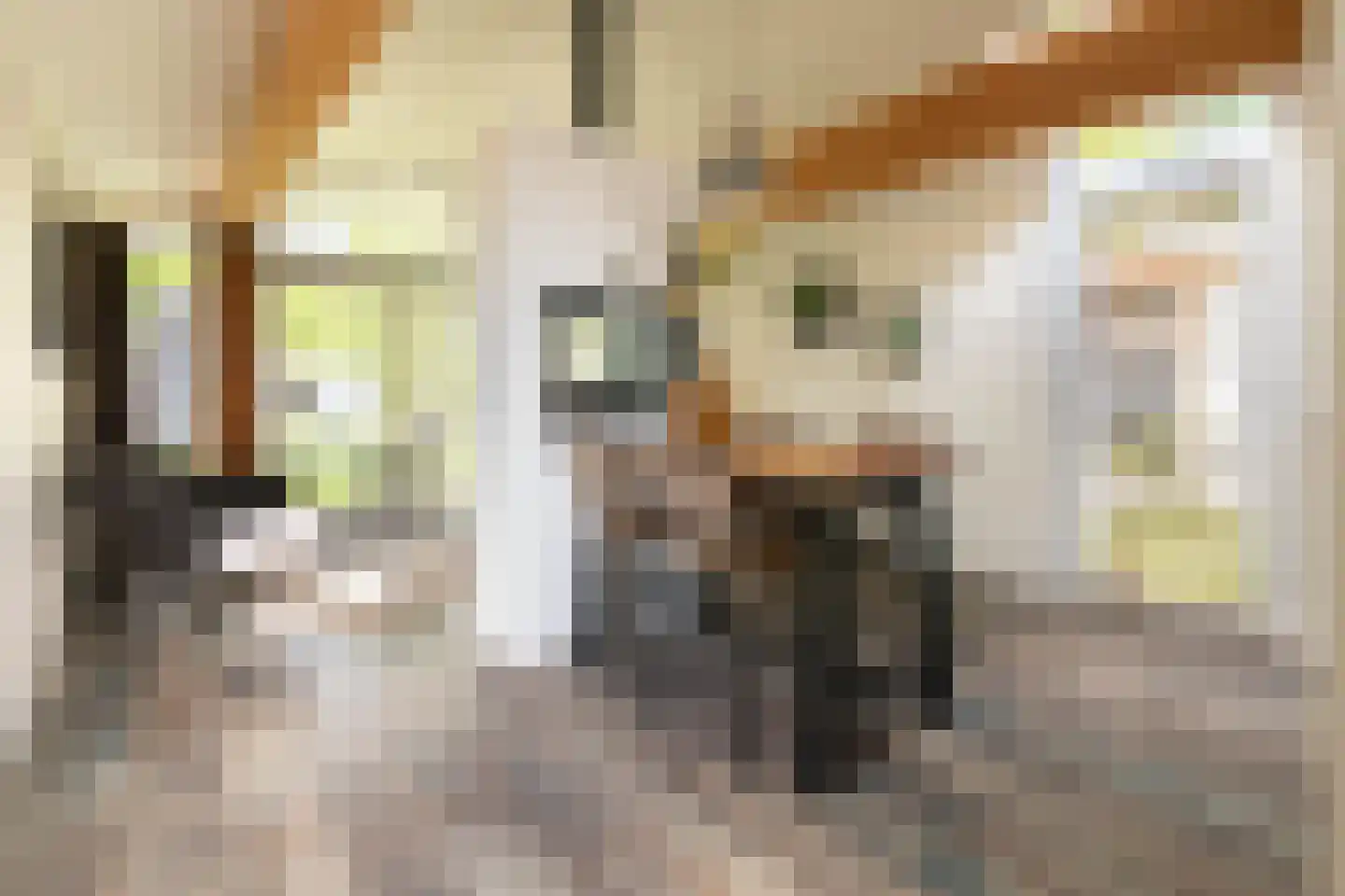 Harremaatweg 30 109 Voorthuizen thumbnail 8