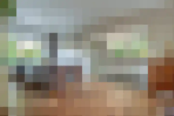 Harremaatweg 36 Voorthuizen thumbnail 12