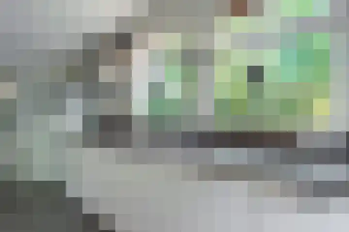 Harremaatweg 36 Voorthuizen thumbnail 15