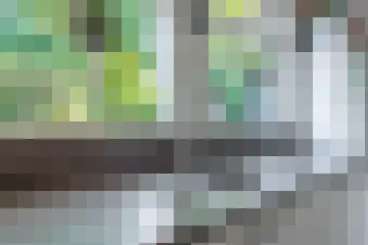 Harremaatweg 36 Voorthuizen thumbnail 17