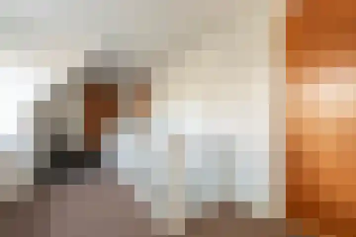 Harremaatweg 36 Voorthuizen thumbnail 18