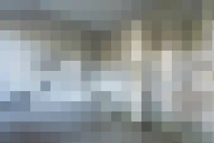 Harremaatweg 36 Voorthuizen thumbnail 21