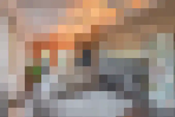 Harremaatweg 36 Voorthuizen thumbnail 33